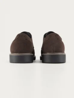 Alvaro Moreno BLUCHER PICADO MARRÓN-Hombre Vestir