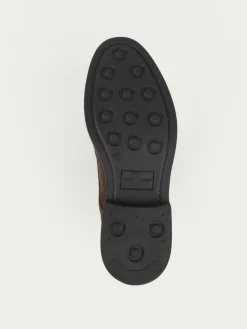 Alvaro Moreno BLUCHER PICADO MARRÓN-Hombre Vestir