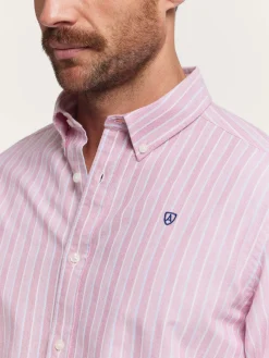 Alvaro Moreno CAMISA OXFORD FANCY STR-Hombre Oxford