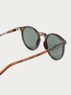 Alvaro Moreno GAFAS ROUNDER MARRÓN-Hombre Gafas De Sol
