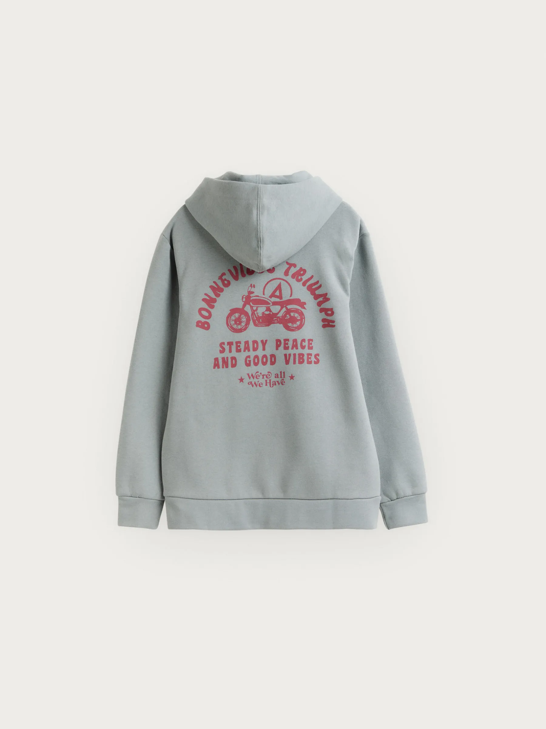 Alvaro Moreno SUDADERA TRIUMPH KIDS- Sudaderas